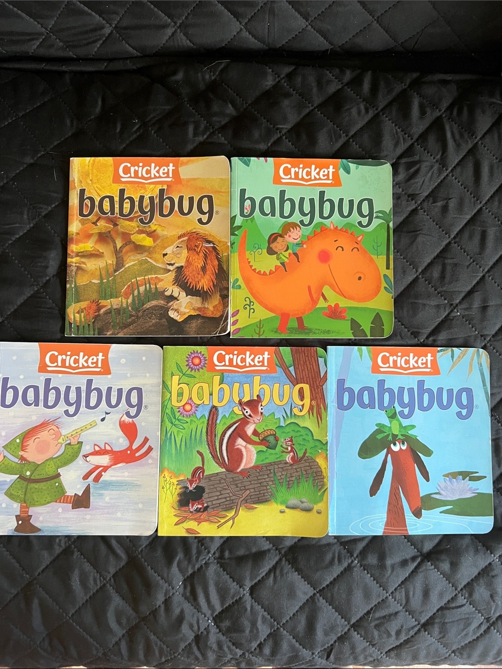 Cricket Babybug Board Book Set - Colorful Kids Picture Books (Assorted Colors)